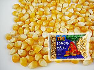 popcornmais-pop-corn-maize-trs