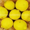 zitrone-frisch-yellow-lemon-fruit-nimbu